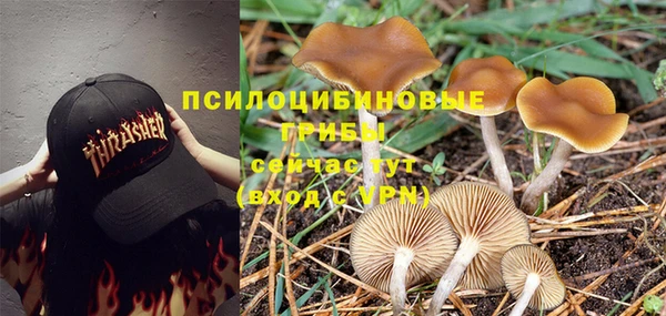 СК Медвежьегорск