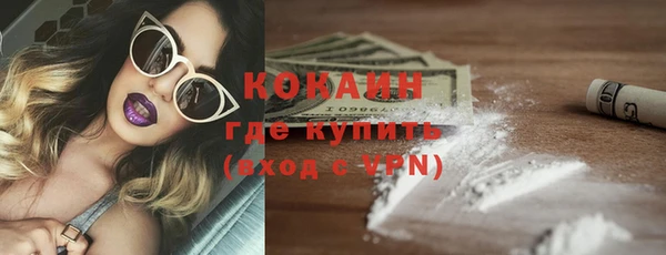 шишки Белокуриха