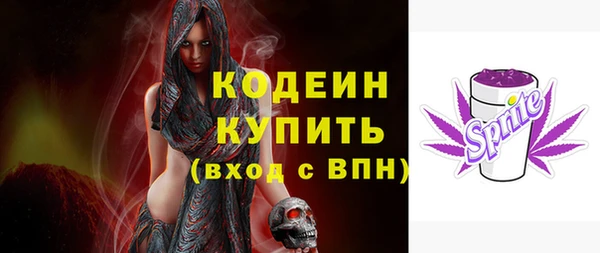 СК Медвежьегорск