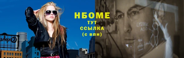 шишки Белокуриха