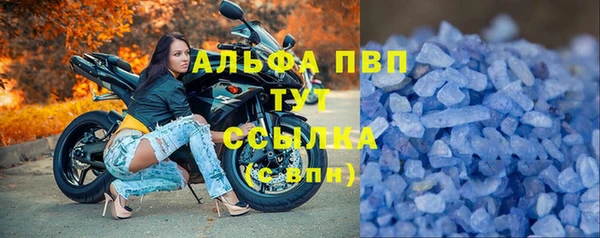 СК Медвежьегорск