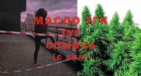 шишки Белокуриха