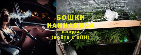 СК Медвежьегорск